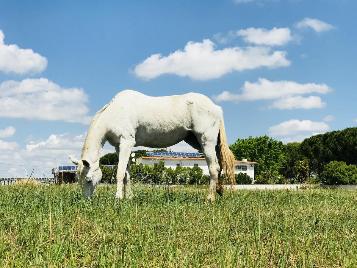 Masseria Nel Sole Otel Lucera Dış mekan fotoğraf