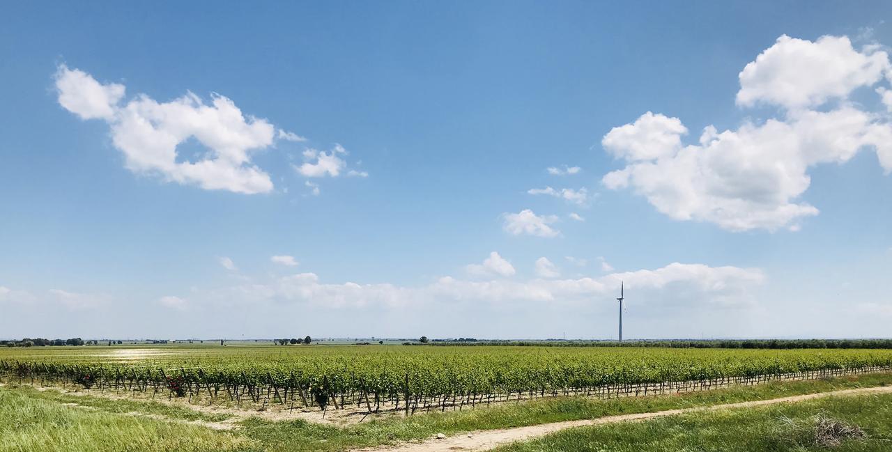 Masseria Nel Sole Otel Lucera Dış mekan fotoğraf